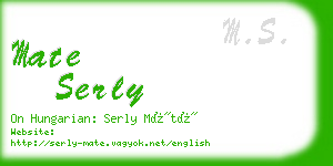 mate serly business card